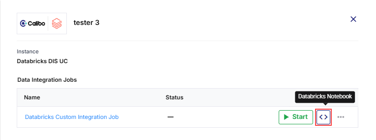 Databricks Notebook for custom code